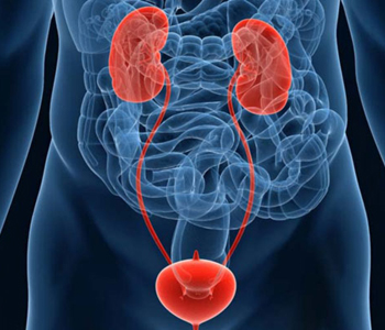 уролог в Митино